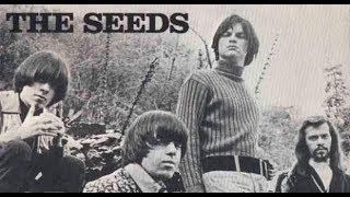 The Seeds - Try To Understand..