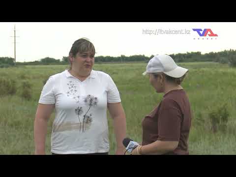 Выпуск программы “День” от 10 июля 2026г.