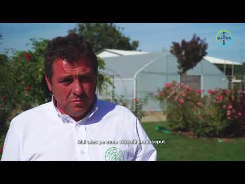 Pepiniera horticolă  - Ne informăm de la specialiști