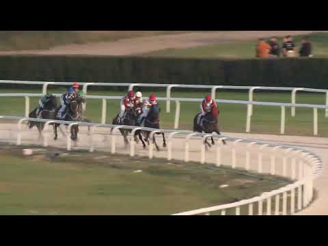 2022.10.09. 08. futam - AMATŐRVERSENY HENDIKEP (V.o.) (szintetikus pálya)