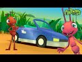 Crazy Tiny Car Race Antiks Funny Cartoons For Kids