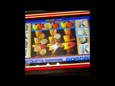 Wild Life Extreme VLT - Monster win!!