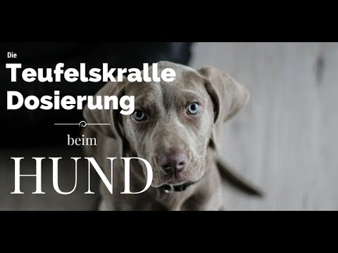 Kniemeniskus Fraktur Therapeutische Übungen für das Handgelenk