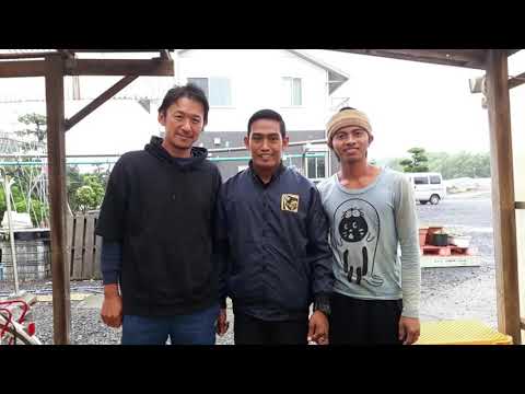 Video Profile LPK WTC
