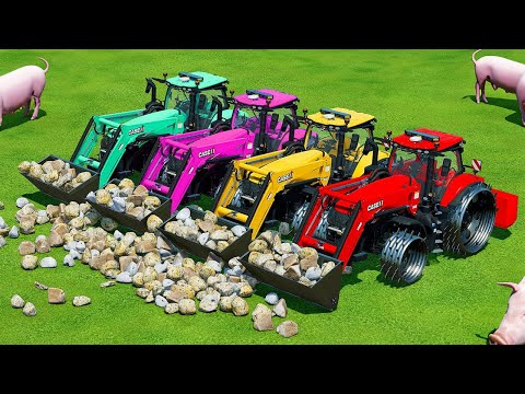 LOAD & TRANSPORT STONES AND PIG FOOD WITH CLAAS AND CASE TRACTORS LOADERS - Farming Simulator 22