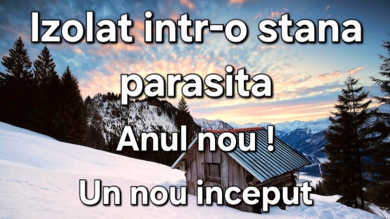 Izolat într-o stana parasita / Anul nou / Accident neprevazut