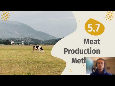 APES Video Notes for 5.7 - Meat Production