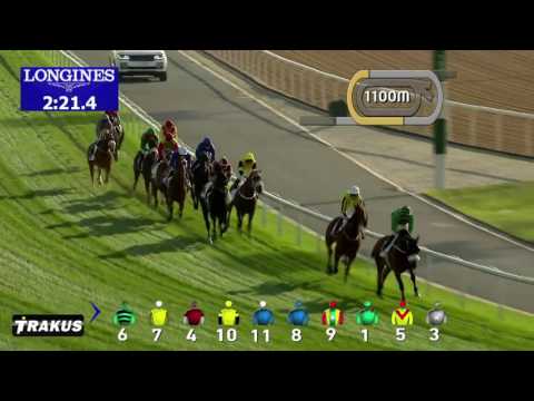 Dubai World Cup 2017: Race 3 - Dubai Gold Cup sponsored by Al Tayer Motors