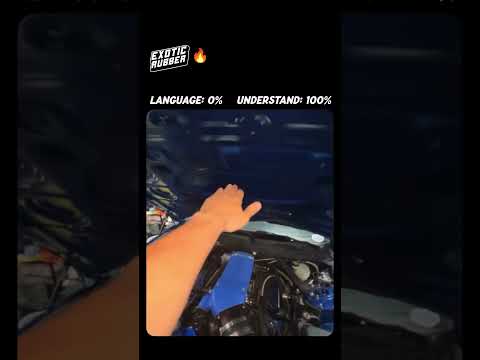 Language 0%, But Understand 100%