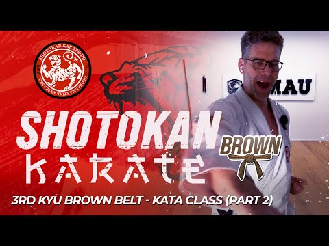 Shotokan Karate - 3rd Kyu - Brown Belt - Kata Class (Part 2) thumbnail