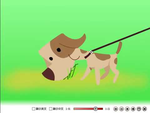 ホンヒン中級英語B4L6読解アニメーション