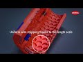 Laidų pjovimo-nuizoliavimo įrankis KNIPEX TwistCut