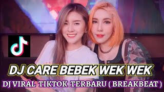 Download lagu DJ BREAKBEAT CARE BEBEK VIRAL TIKTOK 2022 || BREAKBEAT TERBARU || MELODY TINGGI mp3