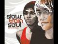 Slow train soul-Sexing the cherry 