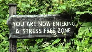preview picture of video 'Ilya Pozin: 7 Simple Steps to a Stress-Free Career'
