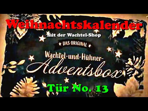 Wachtel-Weihnachtskalender mit der Wachtelshop Adventsbox - Türchen Nummer 13