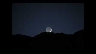 Dubtribe - Desert Moon