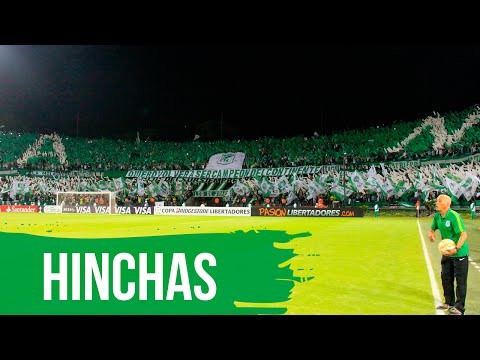 "LA HINCHADA VERDOLAGA ANTE LIBERTAD" Barra: Los del Sur • Club: Atlético Nacional