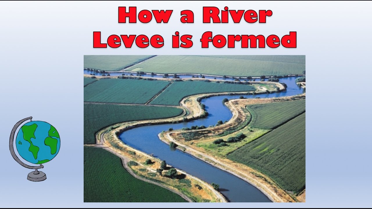 Natural River Levees - How are they formed? Labelled diagram and explanation