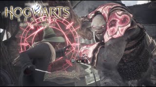 USJで杖に選ばれた俺に勝てると思うなよ【ホグワーツレガシー】Part3
