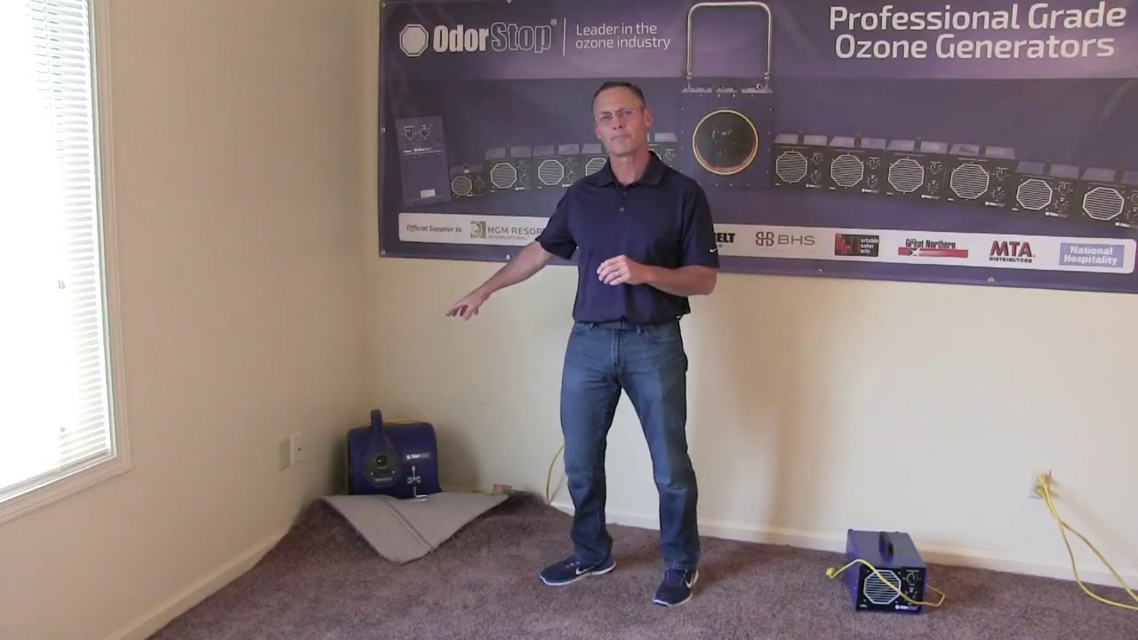 How to Dry Carpet Easily without Removing It