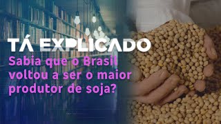 Sabia que o Brasil voltou ao posto de maior produtor de soja do mundo neste ano? | Tá Explicado