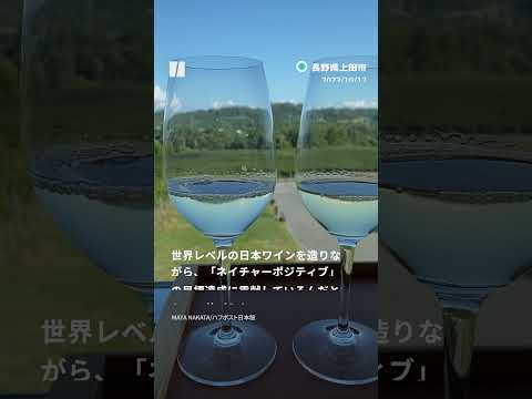 ワインを堆肥に注ぐことはできますか?どのようなメリットがありますか?  庭園