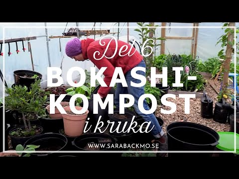 Bokashi del 6: Krukor fyllda med bokashi-kompost