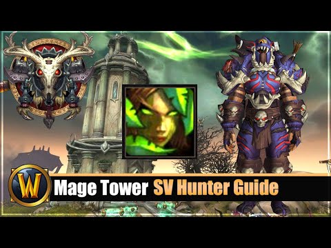Mage Tower Timewalking SV Hunter - Verwüstung Guide + Gear/Consumables Tipps