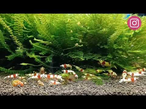 2023/10/24 paisagem na água