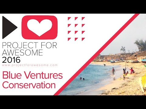 Project for Awesome 2016 | Blue Ventures : Beyond Conservation
