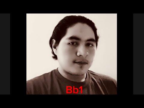 Vocalizing a Bb1 in chest voice