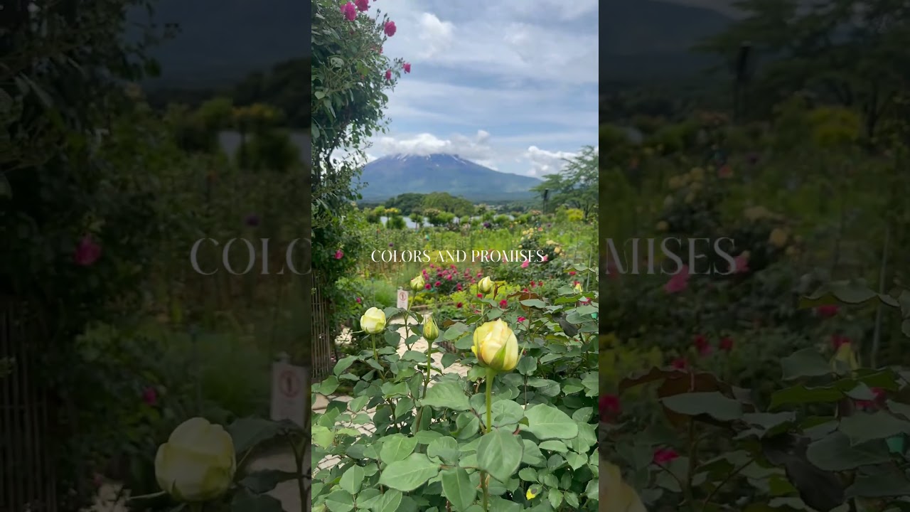 YouTube Short thumbnail