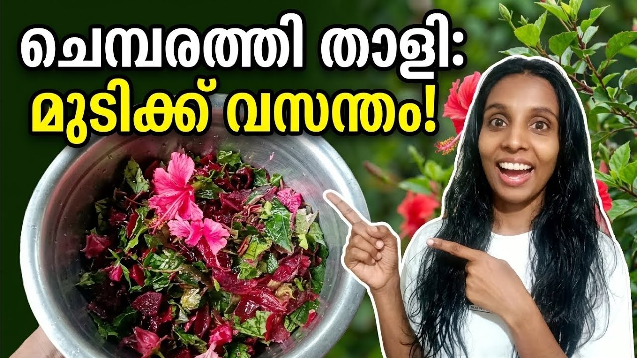 മുടികൊഴിച്ചിൽ മാറി മുടി കാടുകയറും! ഈ ഒരു താളി മാത്രം മതി | Chembarathi Thali for Hair Growth