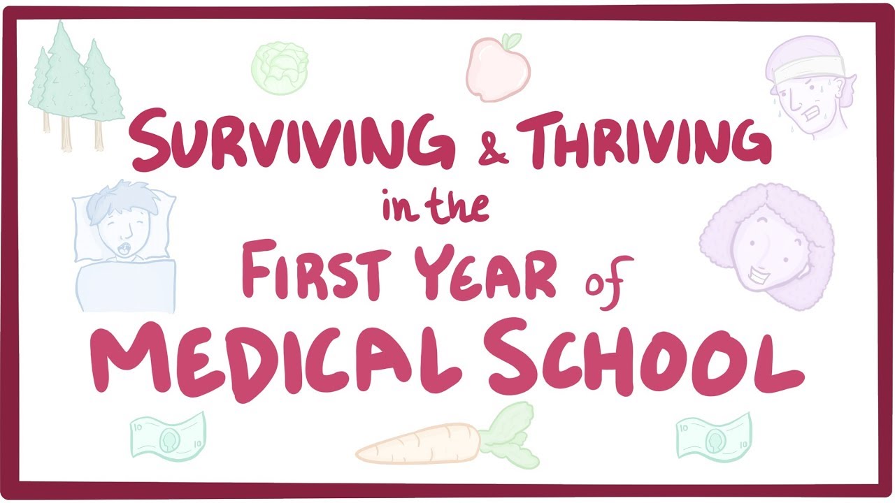 Surviving & thriving in the first year of medical school
