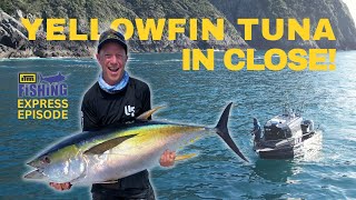 Yellowfin Tuna on the snapper grounds!