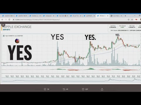 XRP BEARABLEGUY123 MOON DATE!!