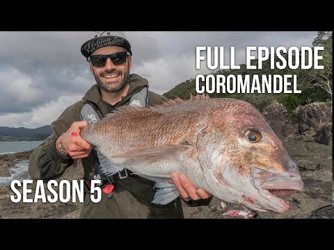 Fishing & Adventure Season 5 EP13 - Coromandel (LANDBASED)
