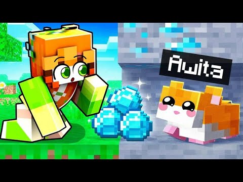 Living as a Hamster in Minecraft!