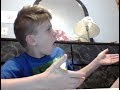 Iowa Cubs Vs Baby Cakes Live