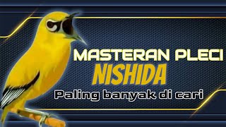 Download lagu MASTERN PLECI NISHIDA | paling banyak di cari!! #masteranpleci #burungpleci #plecigacor #plecinembak mp3 Download lagu MASTERN PLECI NISHIDA | paling banyak di cari!! #masteranpleci #burungpleci #plecigacor #plecinembak mp3