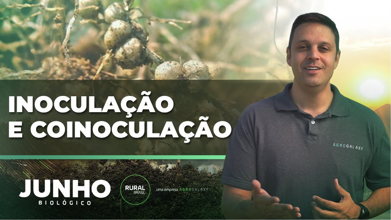 INOCULAÇÃO E COINOCULAÇÃO | JUNHO BIOLÓGICO - Uma campanha AGROGALAXY!