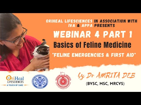 Basics of Feline Medicine. Feline emergencies & First Aid. Webinar 4 part 1