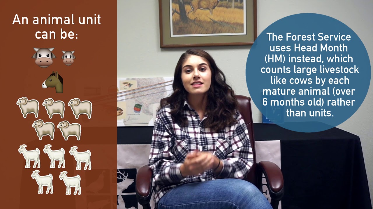 Public Lands 101: Grazing