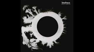 Bauhaus - In the Night - Remastered