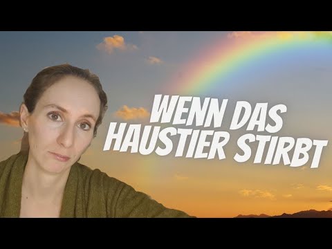 Wenn das Haustier stirbt-Mein Besuch im Kleintierkrematorium Infinitas