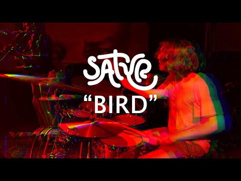 Satyr - Bird (Official Music Video)