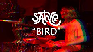 Music video thumbnail preview for Satyr - Bird (Official Music Video) by Satyr