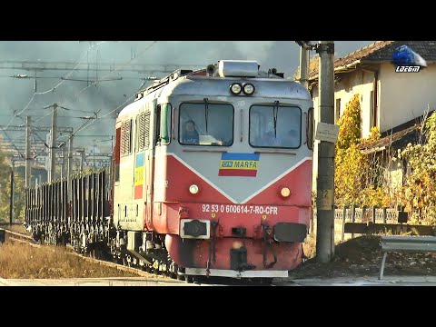 Trenurile Toamnei în Gara Năsăud 🚊🍂🚂 Autumn Trains in Năsăud Railway Station - 31 October 2025