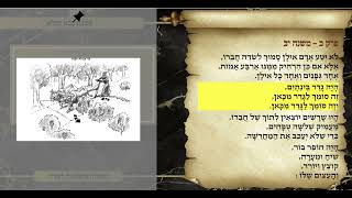 משניות בבא בתרא פרק ב משנה יב